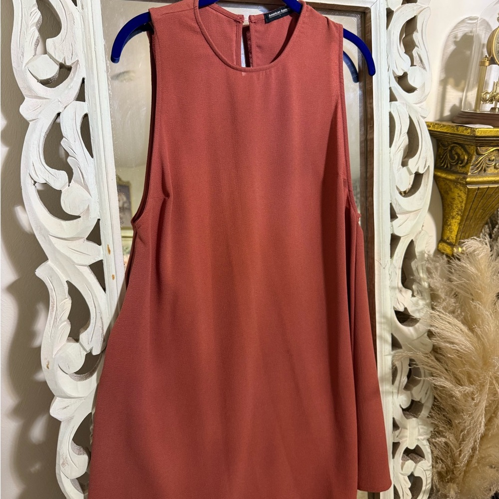 American Apparel Rust Dress